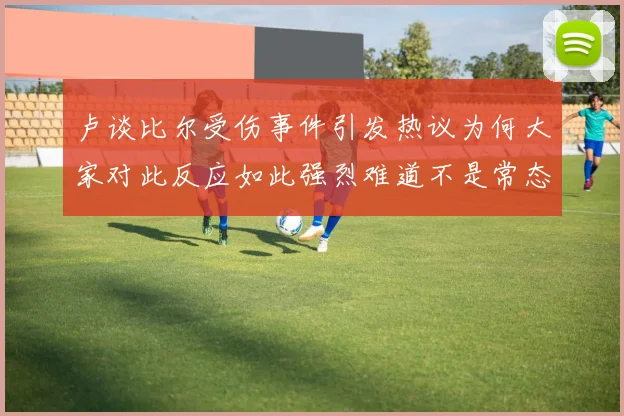 卢谈比尔受伤事件引发热议为何大家对此反应如此强烈难道不是常态吗