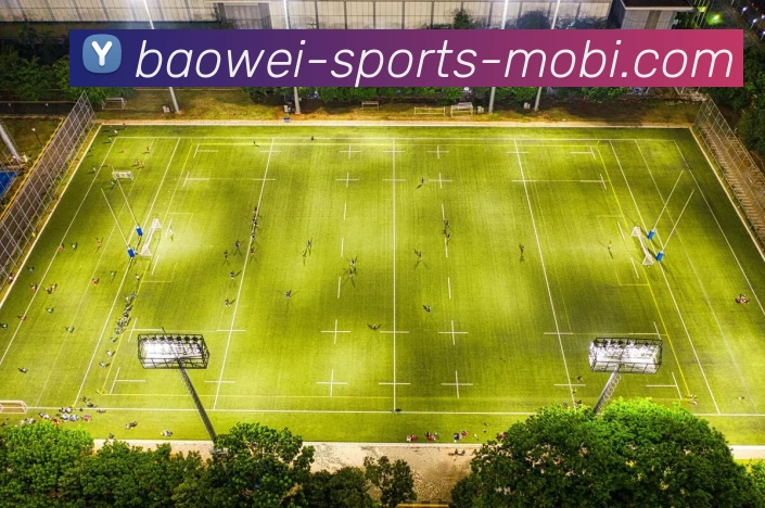 宝威体育平台生态图