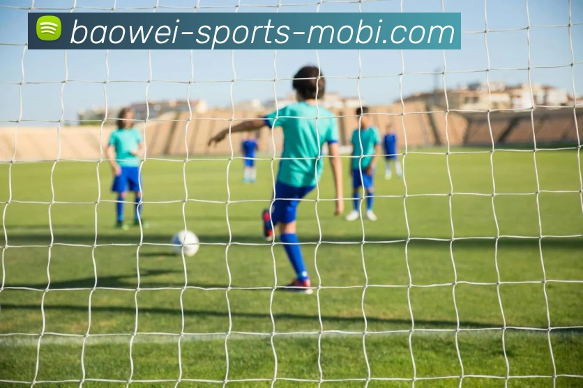 宝威体育全站App